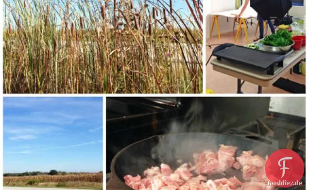 Kimchi gegrillter Käse + Beurteilung des Great Midwest Grilled Cheese Contest