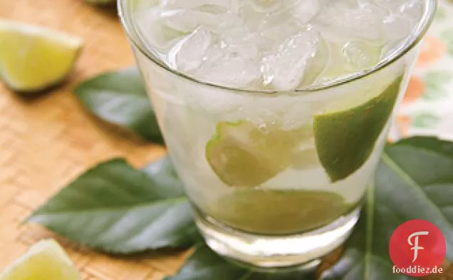 Costa Rica Guaro Sour und meine Reise in den Dschungel