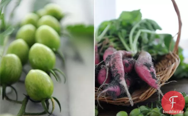 Die erste Salsa der Saison: Rettich & Grüne Tomate