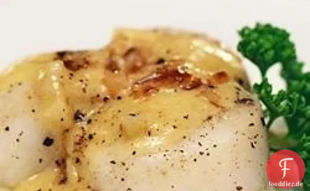 Jakobsmuscheln mit Weißweinsauce I
