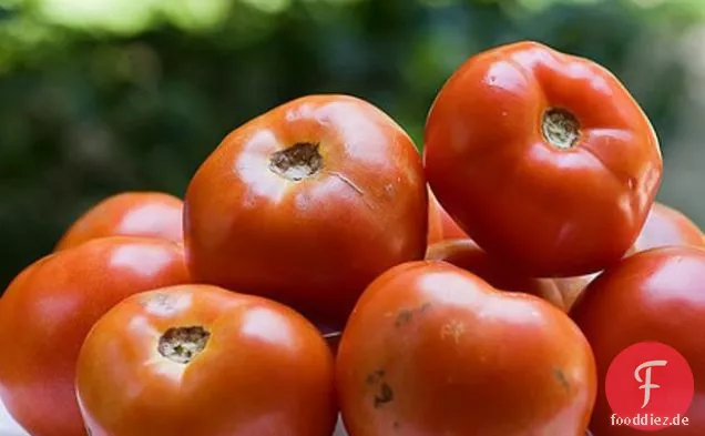 Sandwiches mit offenem Gesicht aus Ei und Tomaten