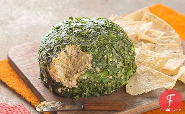 Tex-Mex-Jalapeno-Käse-Ball