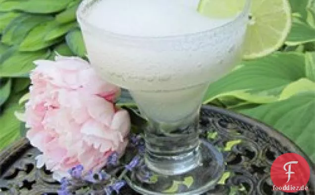 Klassischer Daiquiri