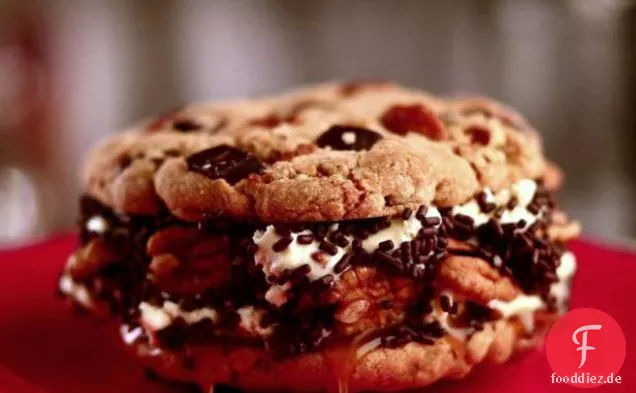 Schildkröte Cookie Eis Sandwich