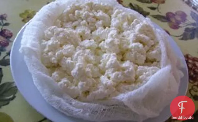 Hausgemachter Frischkäse