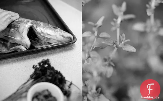 Gegrillter Schellfisch gefüllt mit Zitrone und Kräutern