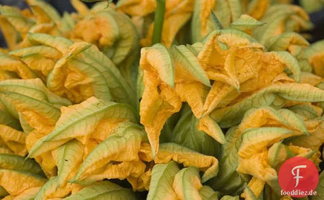 Zucchini-Blumen-Sauce