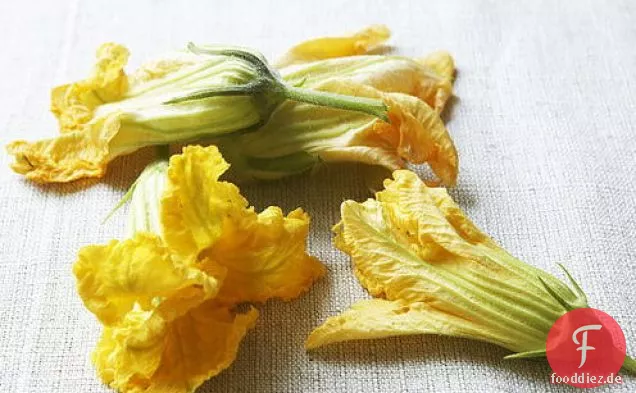 Squash Blüten Gefüllt mit Herbed Käse in Fritter Teig