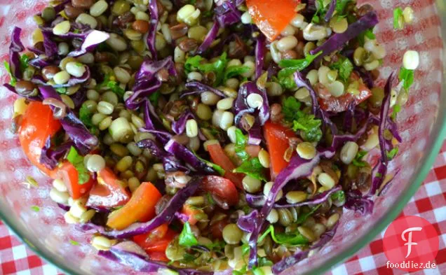 Gekeimte Bohnen Trio Salat