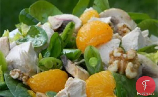 Truthahn-Zitrus-Salat