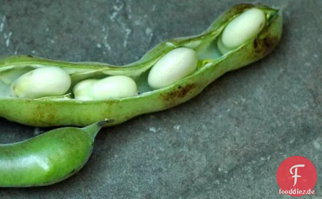Fava-Bohnen-Püree