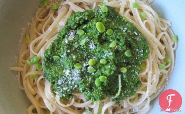 Fava-Blatt-Pesto