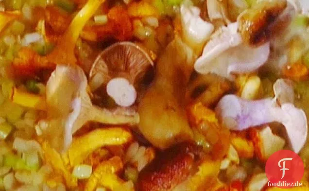Funghi di Bosco in Umido: Pilz Ragu