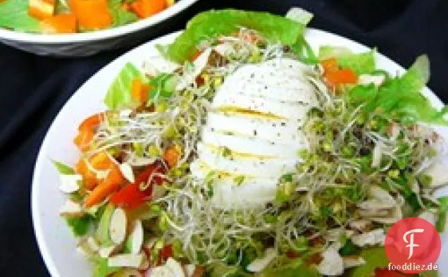 Vogelnest Salat