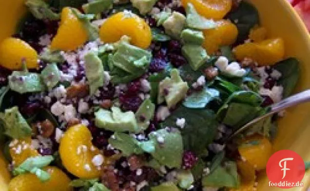 Cranberry, glasierte Walnuss, Orange, Avocado und Blauschimmelkäsesalat
