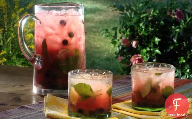 Wassermelonen-Plata-Tequila-Cocktail