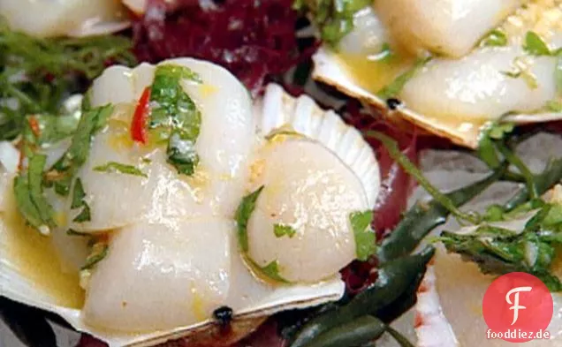 Jakobsmuscheln aus der Nantucket Bay in Tequila-, Zitrus- und Chilidressing