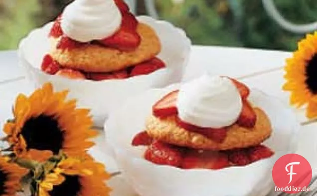 Erdbeer-Keks-Shortcake