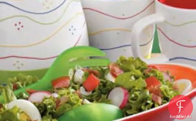 Gartensalat Salat