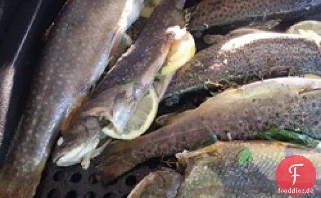 Ganze gegrillte Forelle