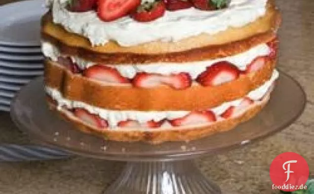 Tragen Sie Kuchen mit Erdbeeren und Schlagsahne