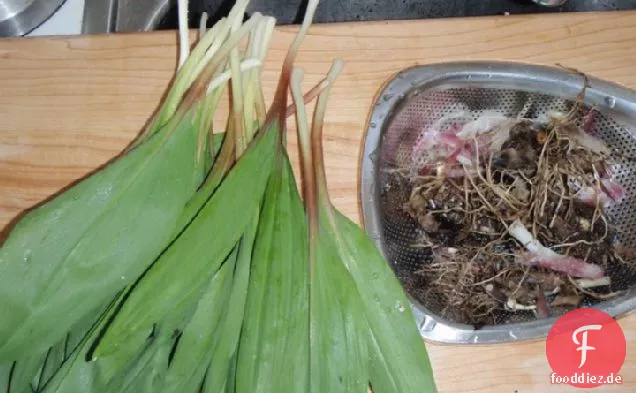 Würzig eingelegte Rampen Rezept