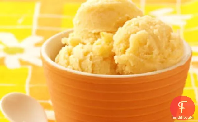 Zitrus-Melonen-Sorbet