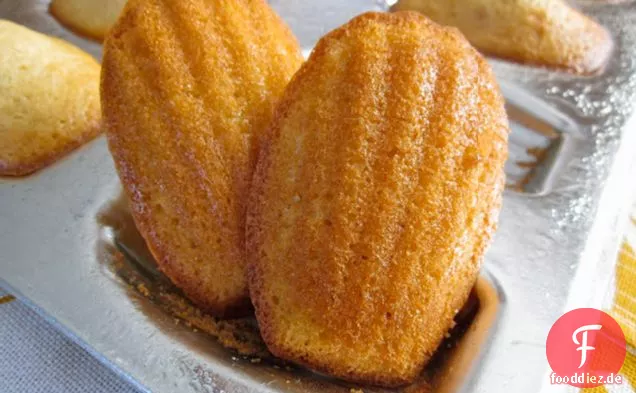 Frischer Ingwer Madeleines