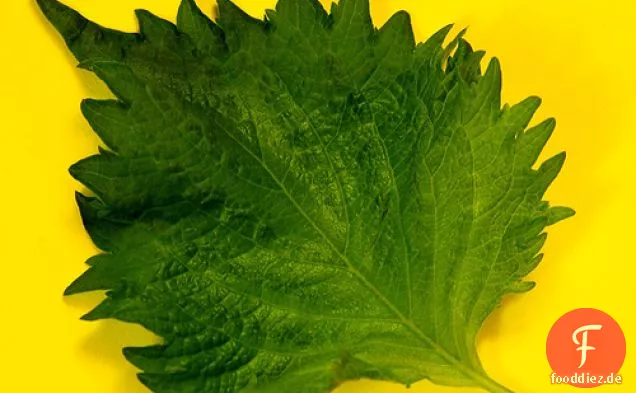 Gerollte Sardinen mit Pflaumenpaste