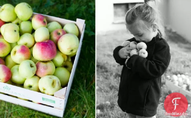 Vegane & glutenfreie Apfel- & Haferkekse