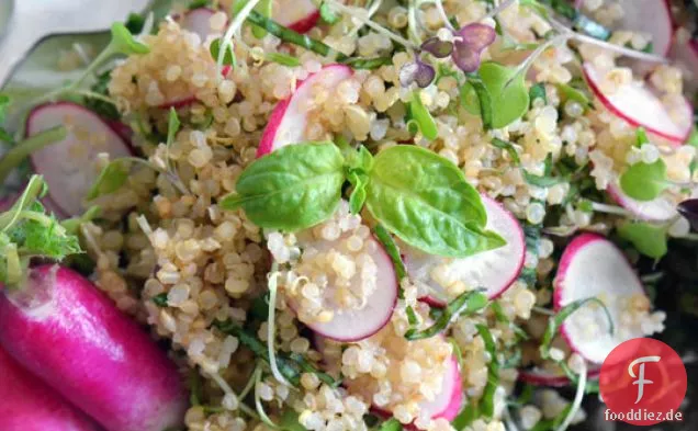 Quinoa-Salat Frühling Mit Radieschen Und Grünen