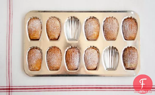 Lavendel-Honig Madeleines