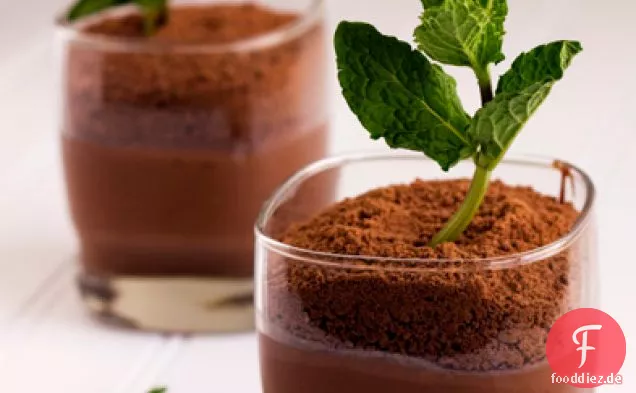 Topfpflanzen Minze-Schokoladen-Pudding