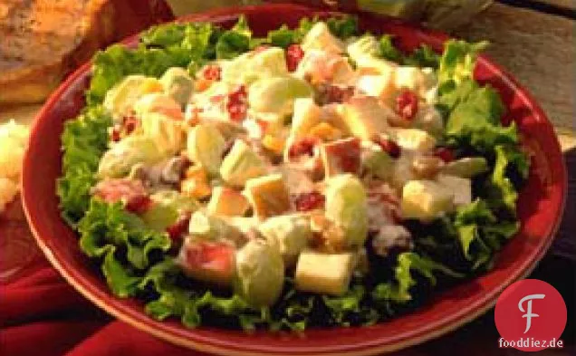 Cranberry-Apfel-Salat
