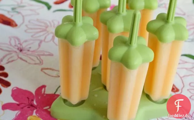 Zuckerfrei Milchfrei Orange Coconut Popsicles