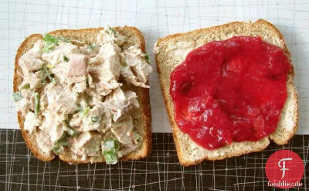 Cranberry-Ketchup