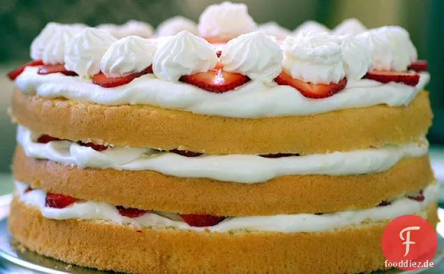 Erdbeer-Chiffon Shortcake