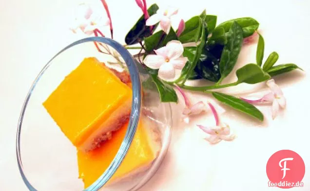 Sommer Magie Mango Pudding