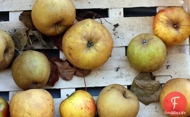 French Apple Cake