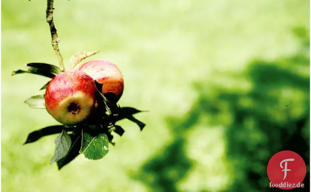 Upside Down Apple Cake, With Olive Oil, Vanilla And Cinnamon