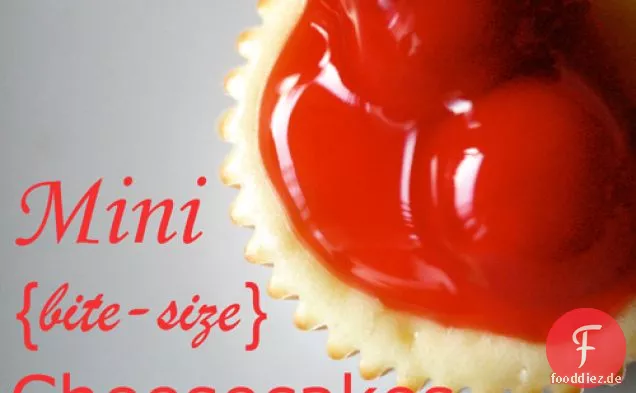 Mini-Käsekuchen Rezept
