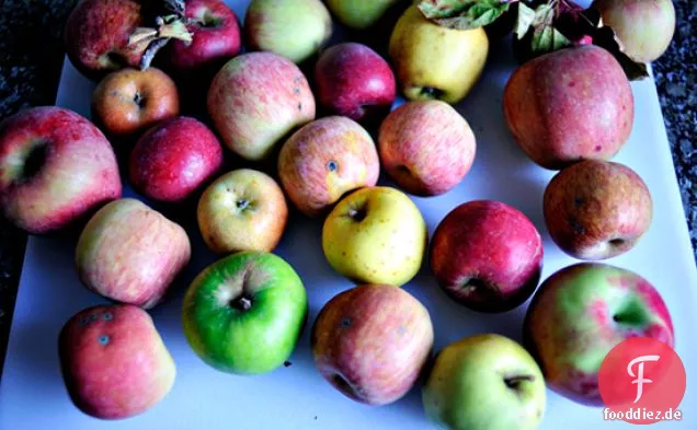 Heirloom Apfelkuchen
