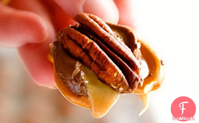 Rolo Brezel Schildkröten