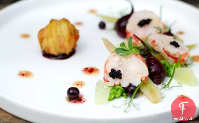 Salat aus Hummer, Fenchel und Rote Beete mit herzhaften Schwarzen Johannisbeeren