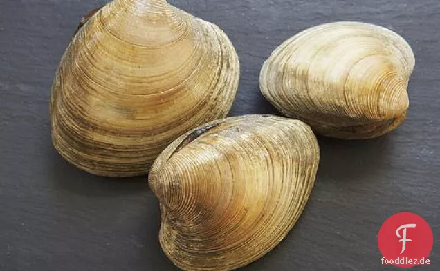 Lachsforelle mit Muscheln