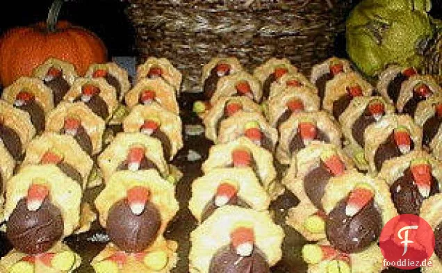 Türkei behandelt