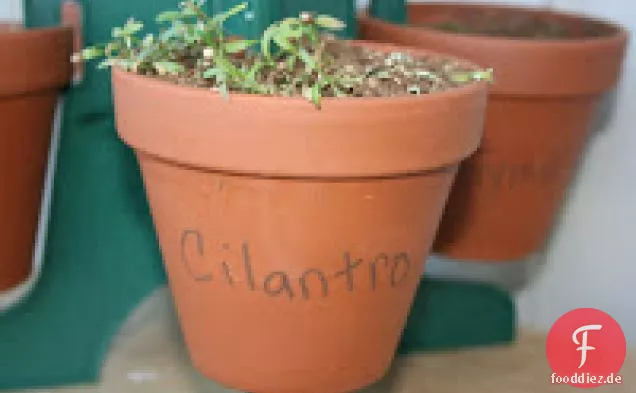 Putenschnitzel in Mango Salsa Crockpot Rezept