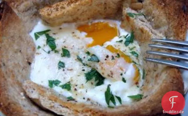 Eier im Nest