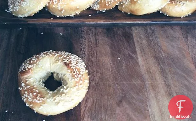 Montreal Bagels