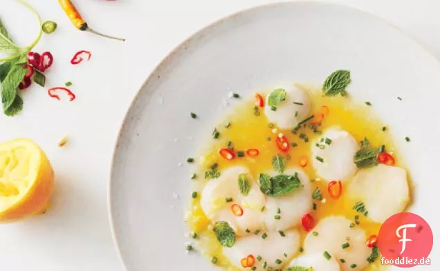 Jakobsmuschel Crudo